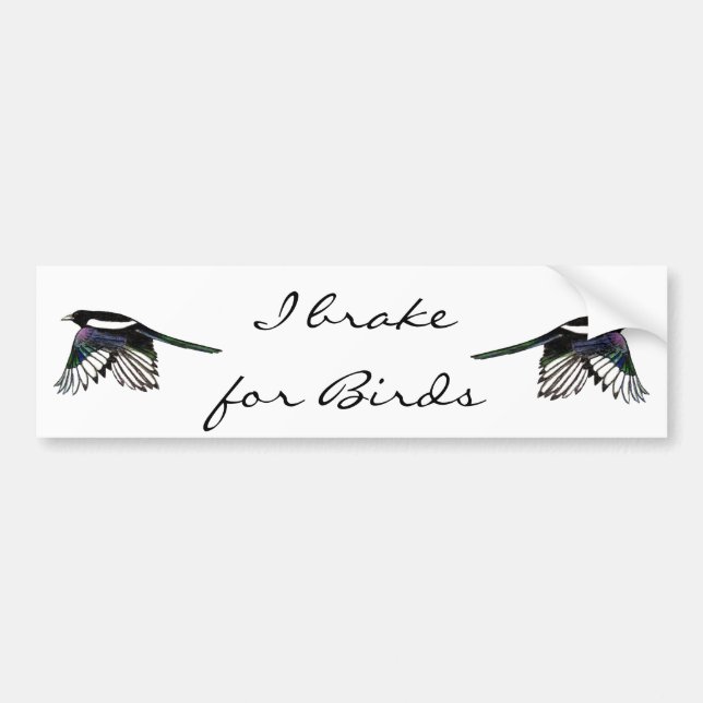 Magpie  - Watercolor Bird Bumper Sticker (Front)