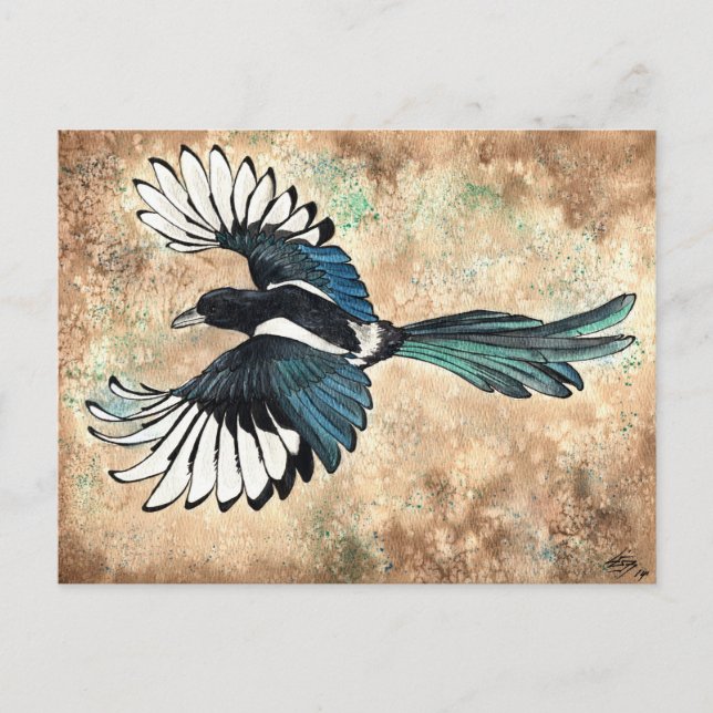 Magpie Watercolor Postcard (Front)