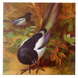 Magpies Ceramic Tile