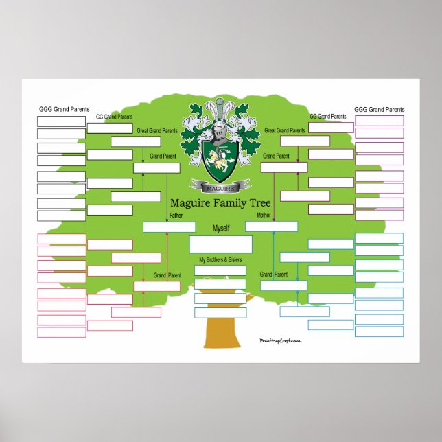 Maguire Family Tree Poster (Front)