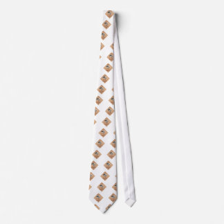 magyar posta parachute neck tie