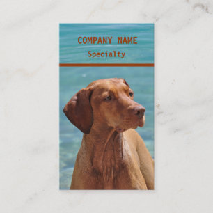 Magyar Vizsla Dog Business Cards