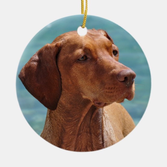 Magyar Vizsla Dog Ceramic Ornament (Front)