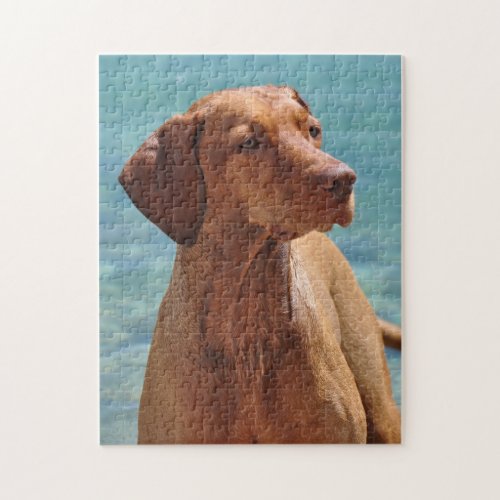 Magyar Vizsla Dog Jigsaw Puzzle