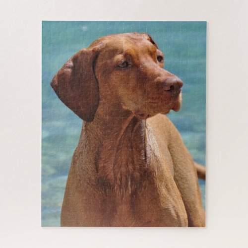 Magyar Vizsla Dog Jigsaw Puzzle