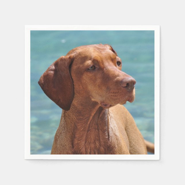 Magyar Vizsla Dog Paper Napkins (Front)