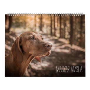Magyar Vizsla Dogs Calendar