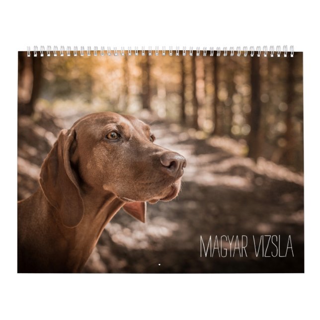 Magyar Vizsla Dogs Calendar (Cover)