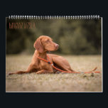 Magyar Vizsla Dogs Calendar<br><div class="desc">Magyar Vizsla Dogs Calendar</div>