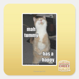 Mah tummy has a happy square sticker