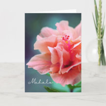 Mahalo Thank you Hawaiian Pink Hibiscus Close-up