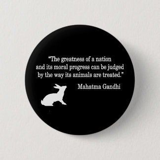 Mahatma Gandhi Quote Collection Pinback Button