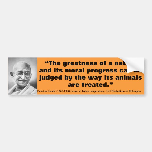 MAHATMA GANDHI The Greatness of a Nation Judged Bumper Sticker (Front)