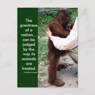 Mahatma Gandhi's animal quote Postcard