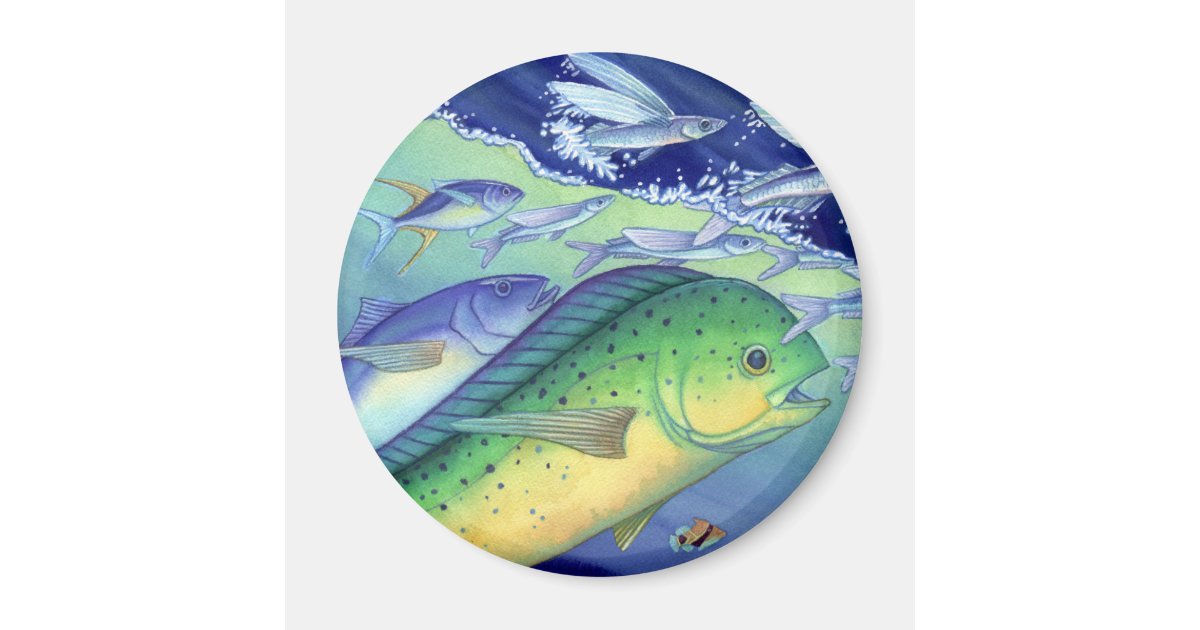Mahi Mahi (Dolphin Fish) chasing Flying Fish Magnet | Zazzle