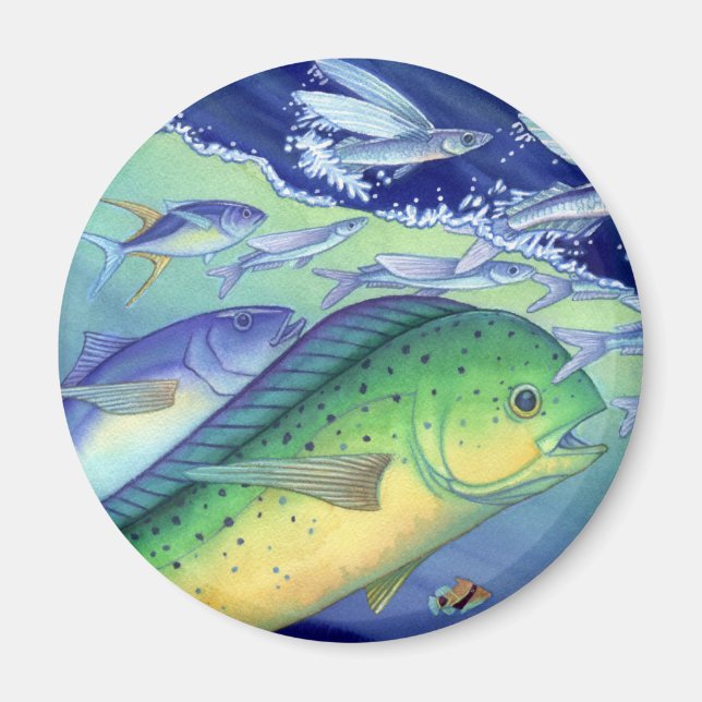 Mahi Mahi (Dolphin Fish) chasing Flying Fish Magnet (Front)