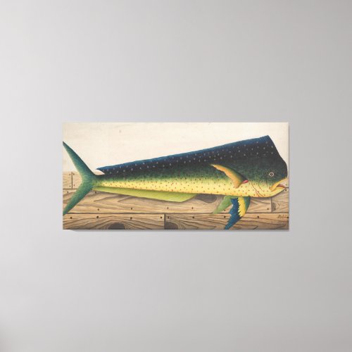 Mahi_Mahi Fish artwork Canvas Print