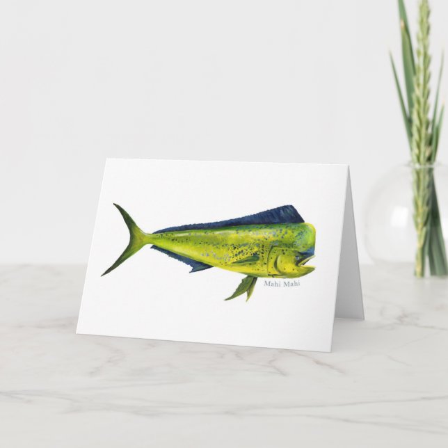 Mahi Mahi fish card (Front)