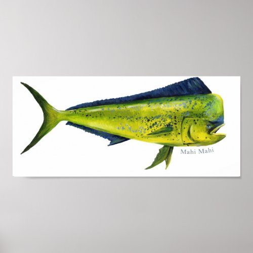 Mahi_Mahi fish poster