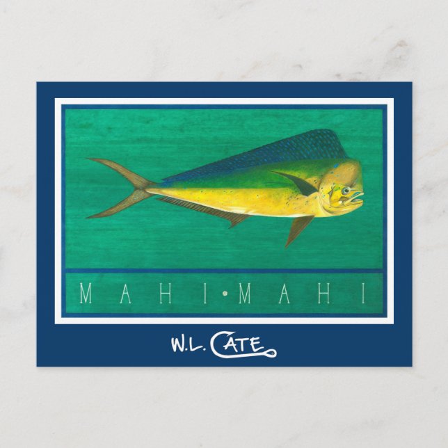 Mahi-Mahi Postcards (Front)