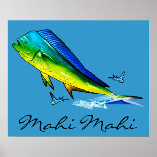 Mahi Mahi Fish Poster