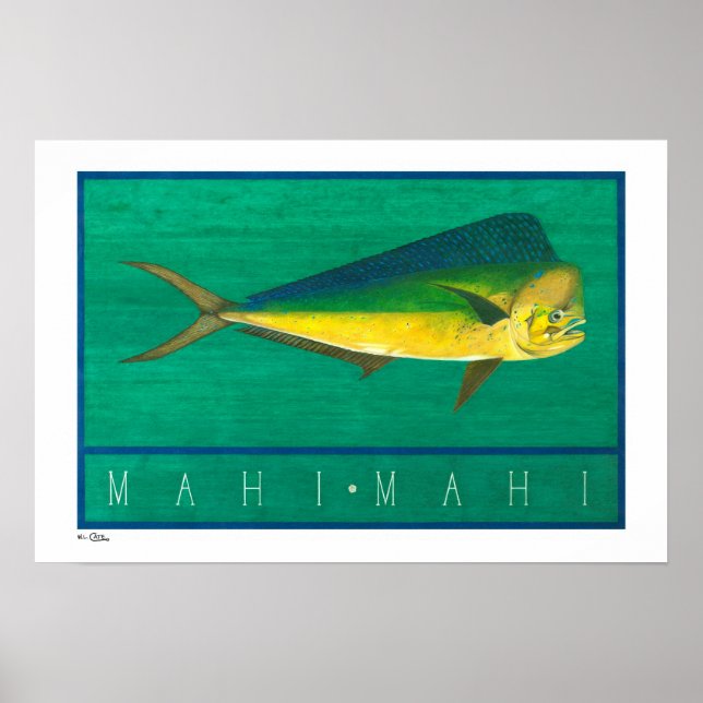 Mahi-Mahi Posters, Prints and Frames (Front)
