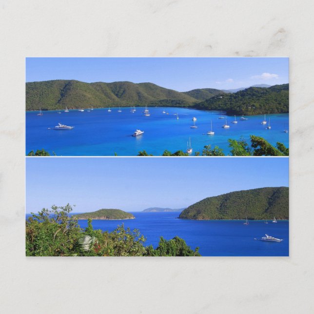 Maho Bay Collage, St. John, U.S.V.I. Postcard (Front)
