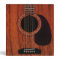 Mahogany Top Acoustic Guitar