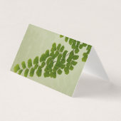 Maiden Hair Fern Frond (Front)