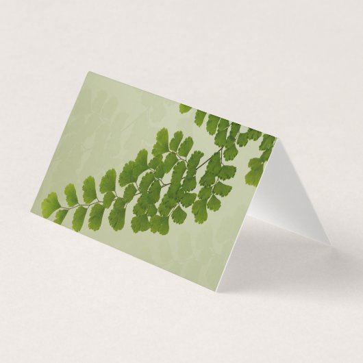 Maiden Hair Fern Frond (Front)