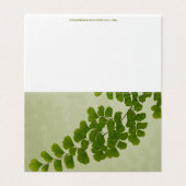 Maiden Hair Fern Frond (Outside Unfolded)