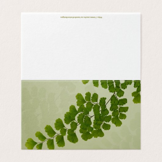 Maiden Hair Fern Frond (Outside Unfolded)