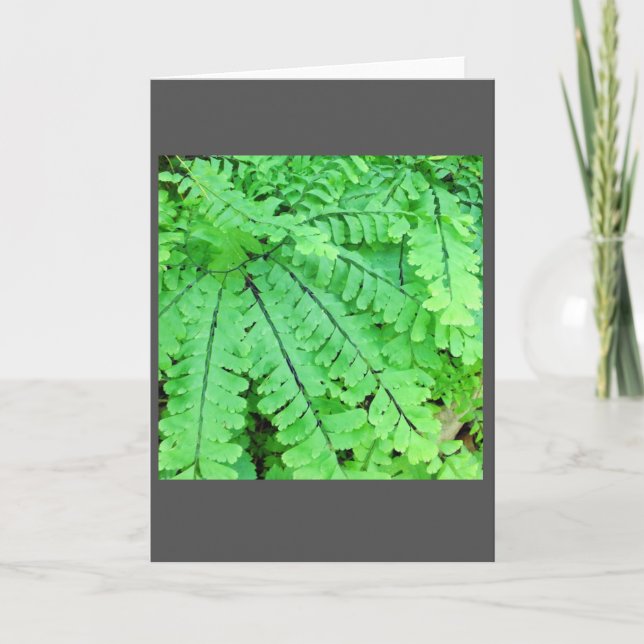 Maidenhair Fern Blank Note Card (Front)
