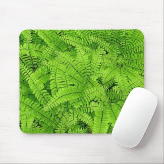 MAIDENHAIR FERN/LAYERS OF FERN LEAVES/SWIRLED LOOK