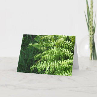 Maidenhair Ferns Father's Day Card