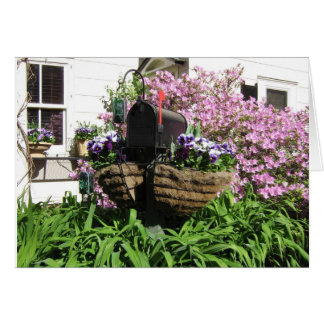 Mailbox among the Flowers--Card Cards