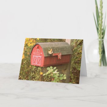 Mailbox Greeting Card by lynnsphotos at Zazzle