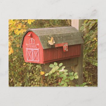 Mailbox Postcard by lynnsphotos at Zazzle
