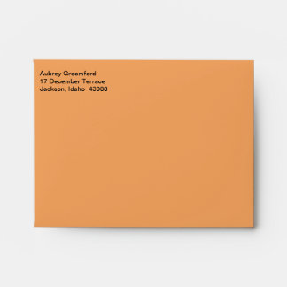 Mailing Designer Sandy Brown Envelope