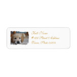Mailing Label-2 - Customized Label