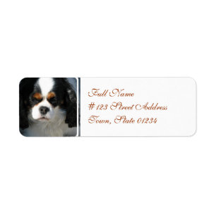 Mailing Label-2 - Customized Label