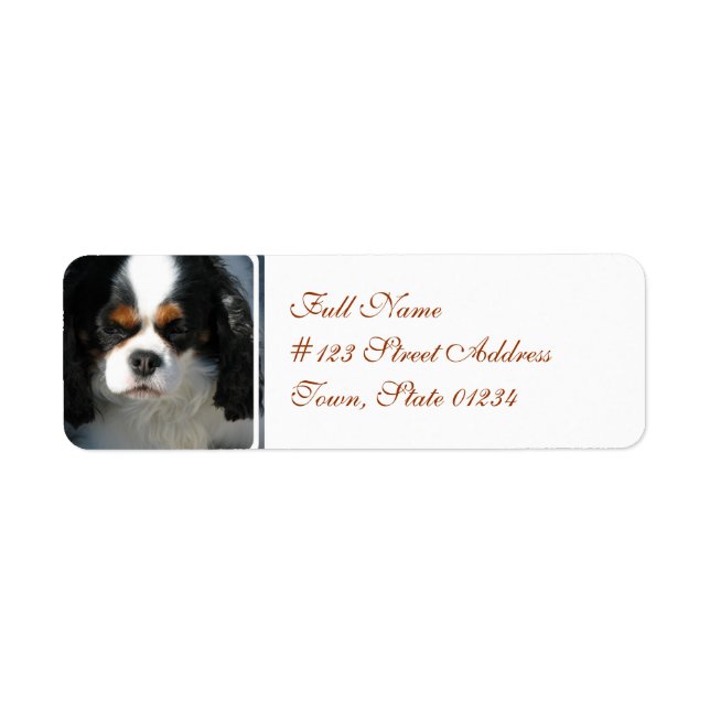 Mailing Label-2 - Customized Label (Front)