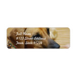 Mailing Label Template 2 - Customized