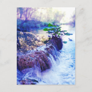 mailing list comment card water haze