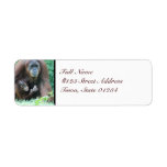 MailingLabel-5 - Customized Label