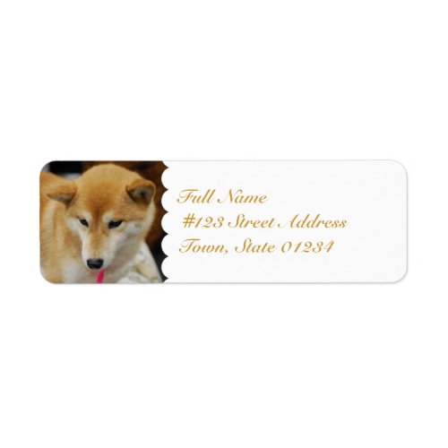 MailingLabel-5 - Customized Label