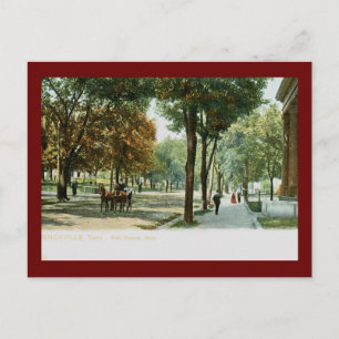 Main Ave., Knoxville TN 1909 Vintage Postcard