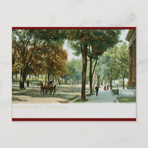Main Ave., Knoxville TN 1909 Vintage Postcard