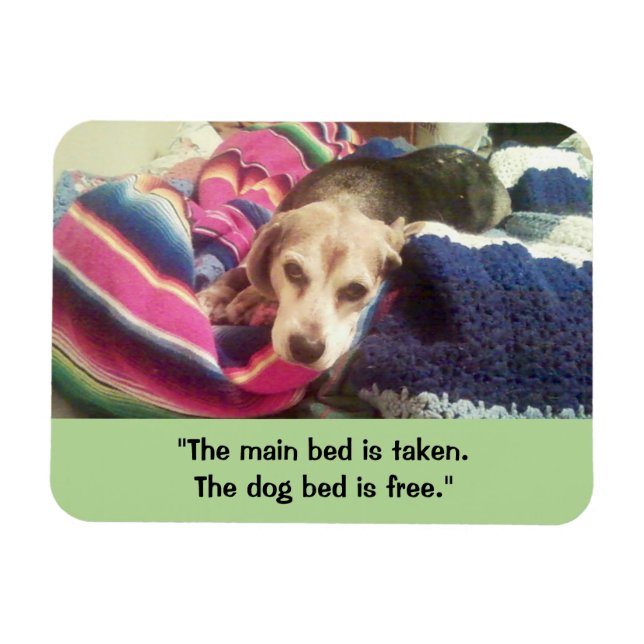 "Main Bed Taken / Dog Bed Free" 3x4 Photo Magnet (Horizontal)
