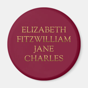 Main Characters from Pride and Prejudice Magnet